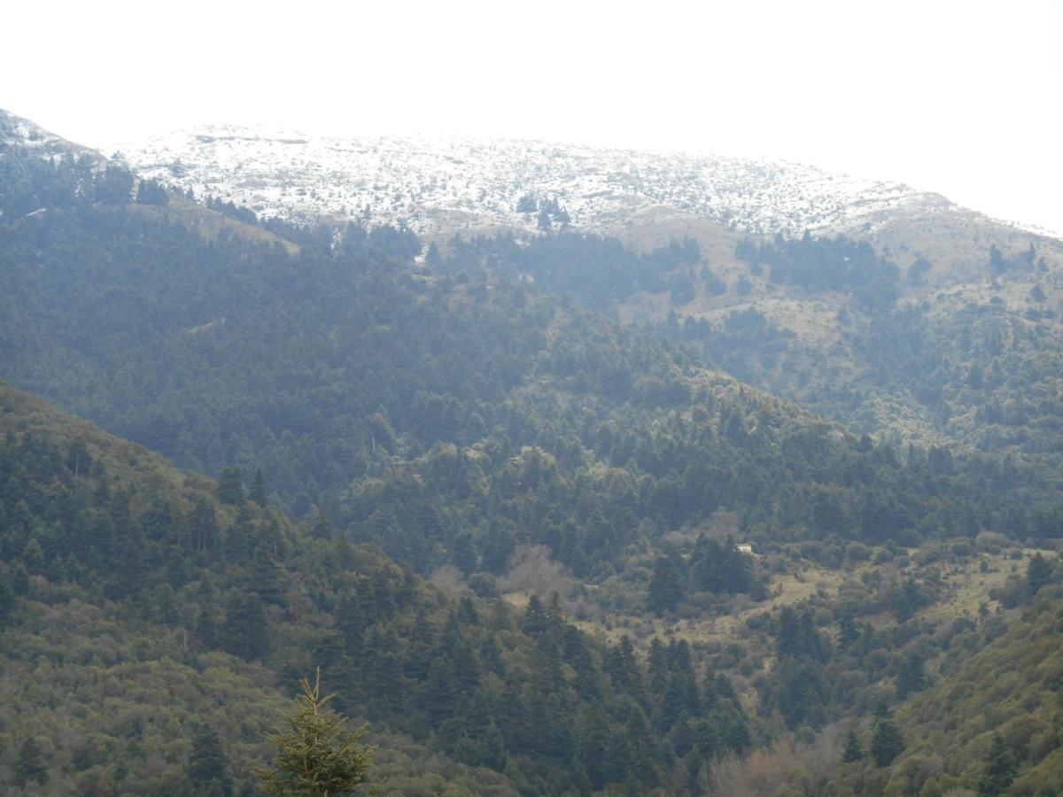 Amadriades Kalavryta Exterior photo